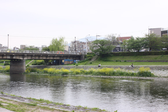 春の鴨川